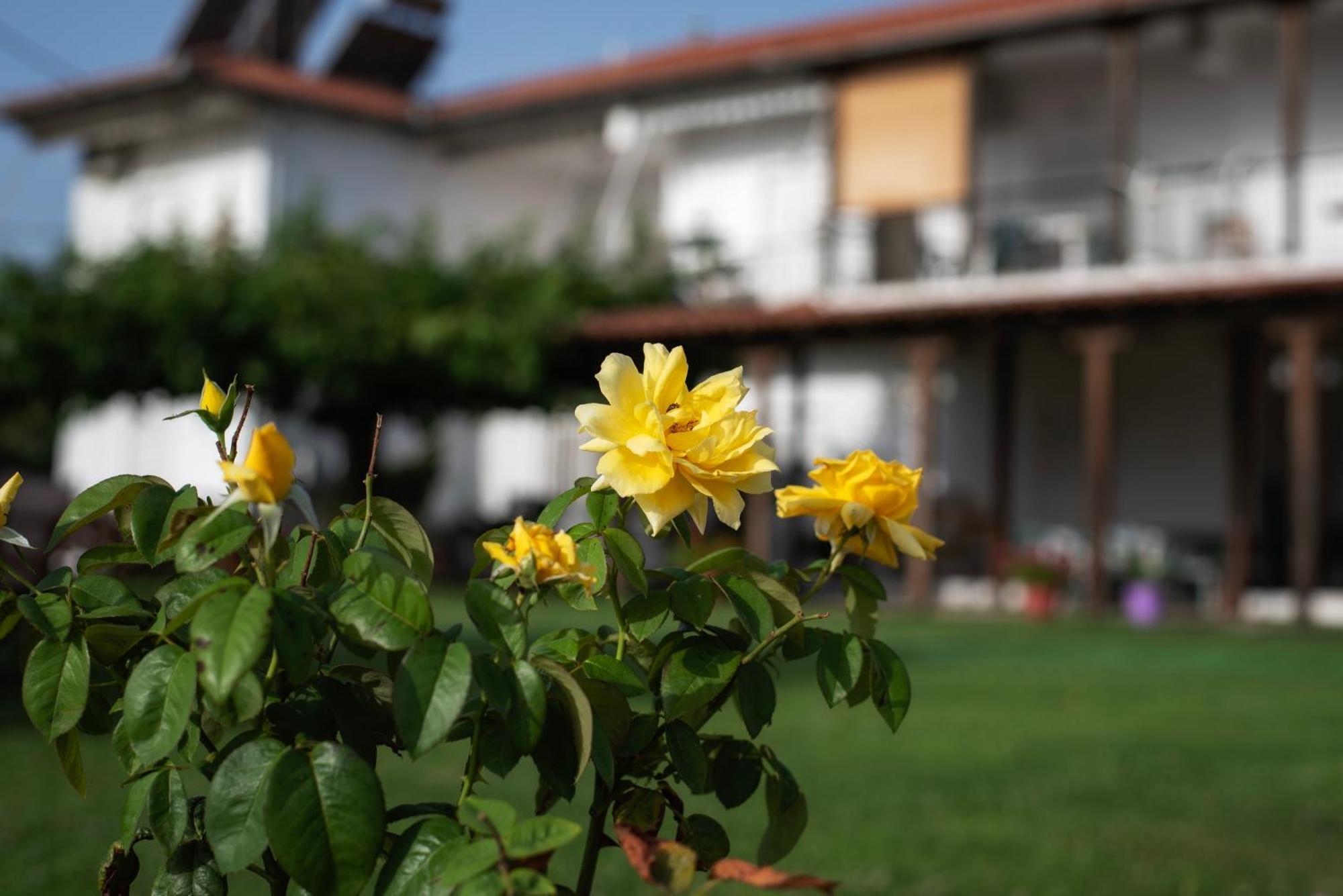 Marilena Anastasiou Apartmán