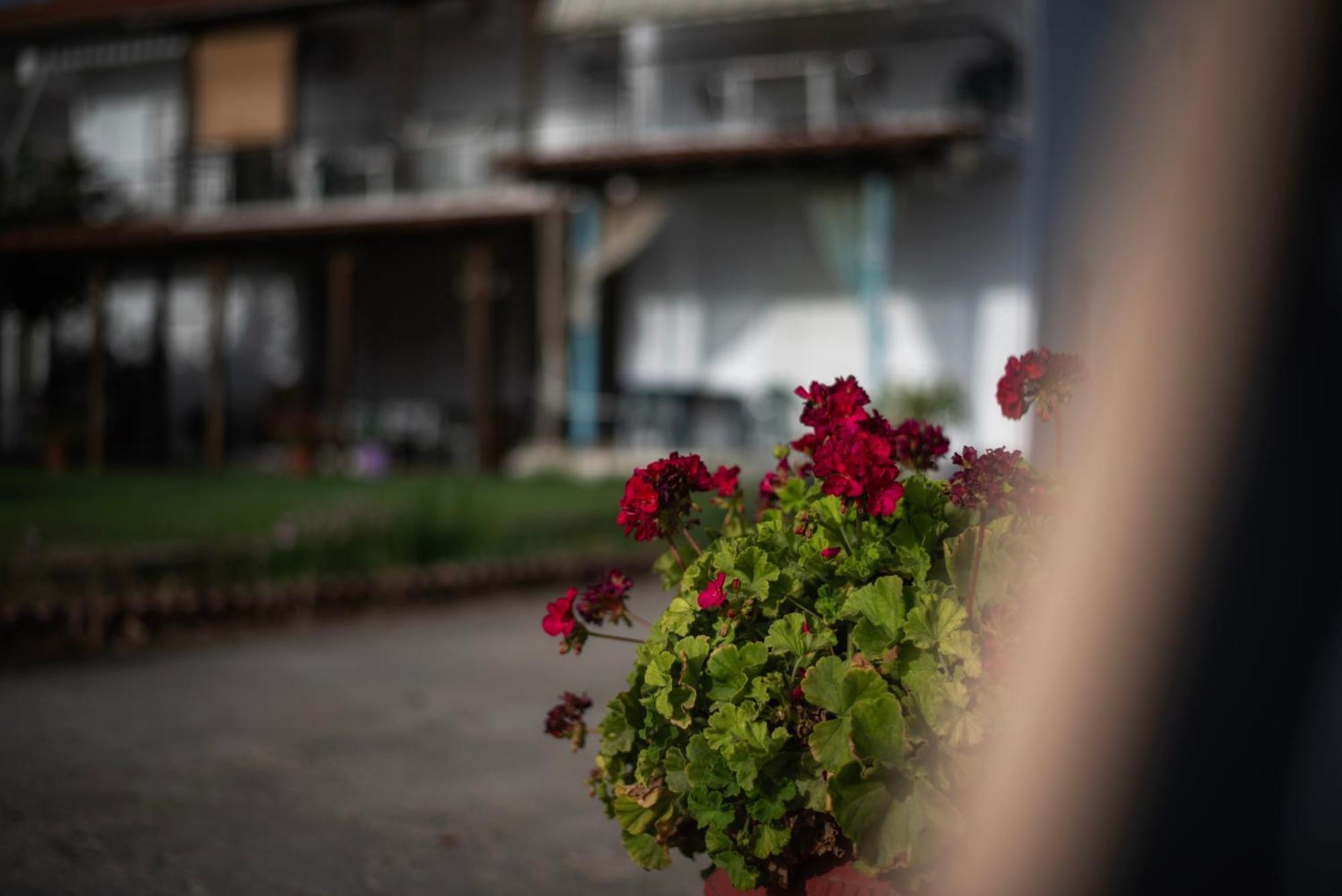 Marilena Anastasiou Apartment